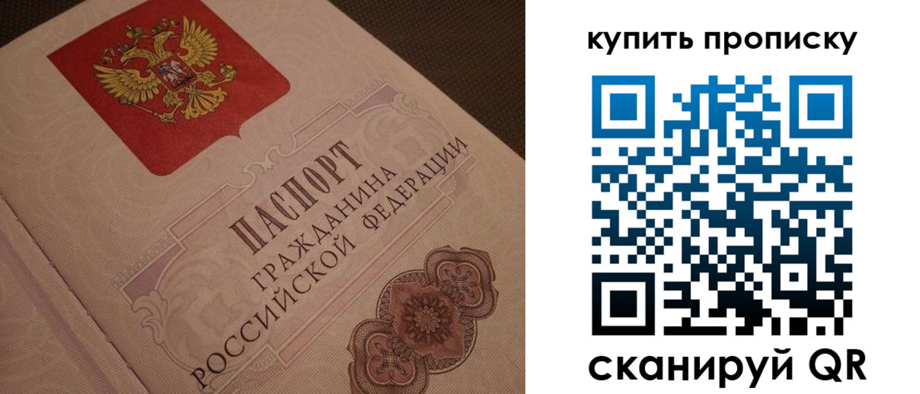 временная прописка в Мытищах